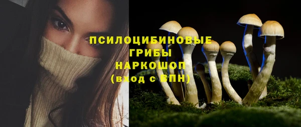 гидра Белоозёрский