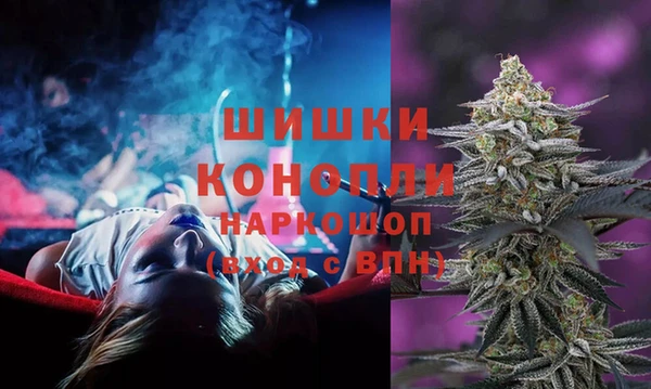 гидра Белоозёрский