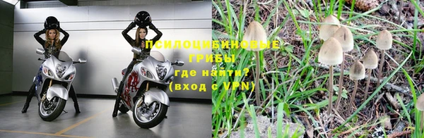 амф Беломорск