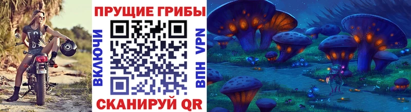 Псилоцибиновые грибы мухоморы  цена   Томари 